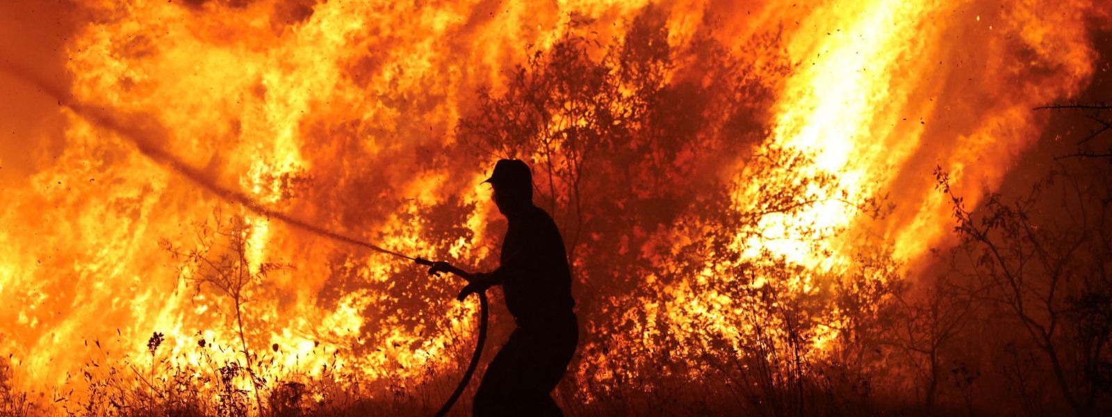 Hottest month in 120,000 years, say scientists